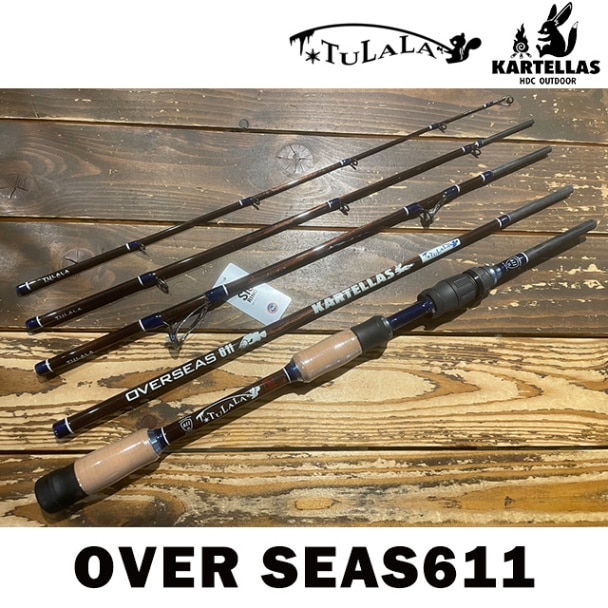 ����ƥ饹�ߥĥ�� �����С������� 611