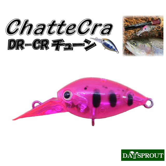 ǥץ饦 㥿DR CR塼
