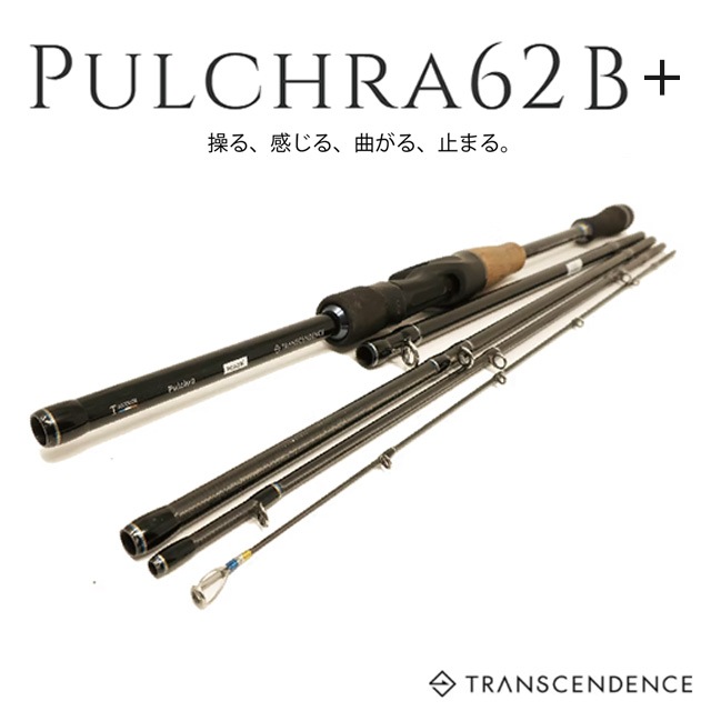 トランスセンデンス プルクラ62B+ | ソルトメーカーから探す,トランス