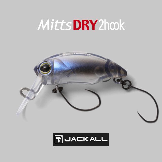 �ƥ���� �ߥå� �ɥ饤  2�եå�