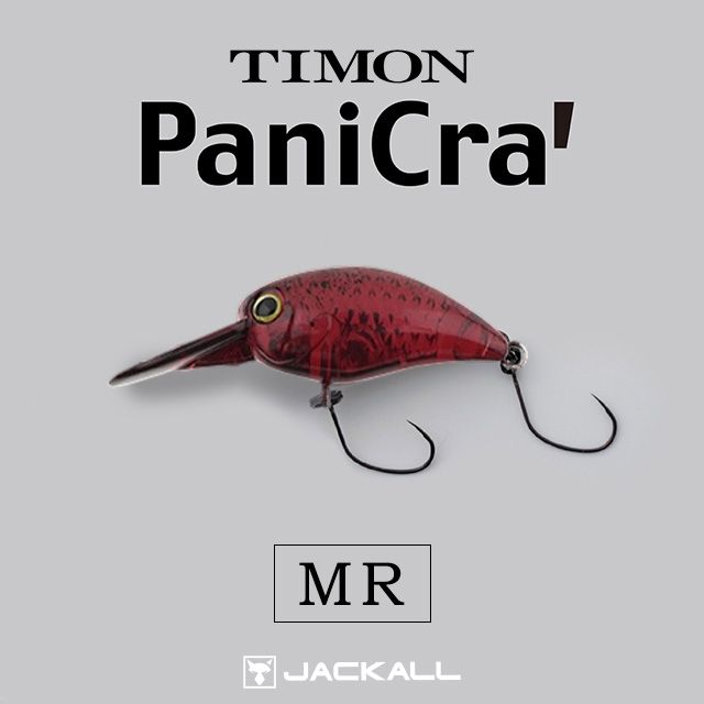 �ƥ���� �ѥ˥��顭 MR