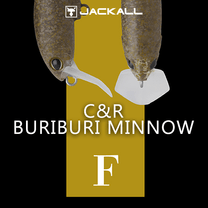 �ƥ���� C&R�֥�֥�ߥΡ� F