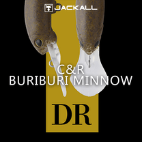 �ƥ���� C&R�֥�֥�ߥΡ� DR