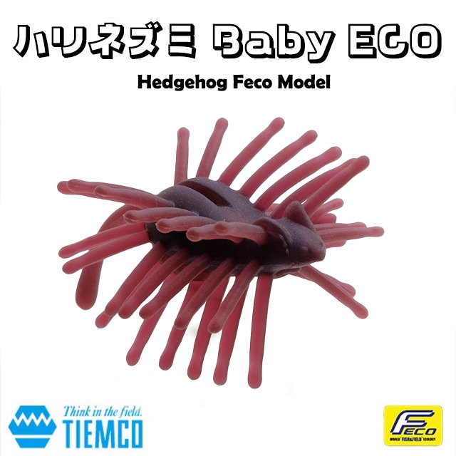 �ƥ��ॳ CT�ϥ�ͥ��ߥ٥��ӡ� ECO