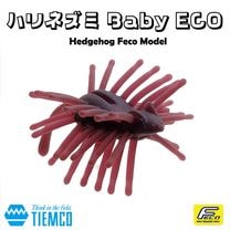 �ƥ��ॳ CT�ϥ�ͥ��ߥ٥��ӡ� ECO