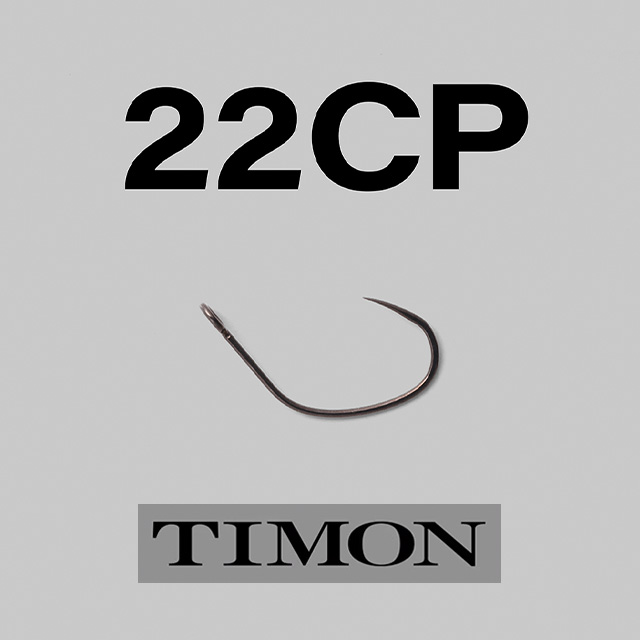 �ƥ���� 22CP
