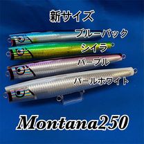 HUDDLE��LURE����󥿥�250