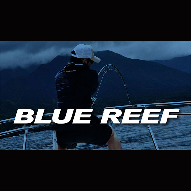 �ڤ����󤻡ۥ�ޥ��֥�󥯥����֥롼�꡼�գ�����/���������㥬��