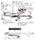 �Хǥ�������� FLAG HEAD 21g