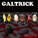 ����ǥåɥե����ȥ꡼��GALTRICK (����ȥ�å�) 1.3g