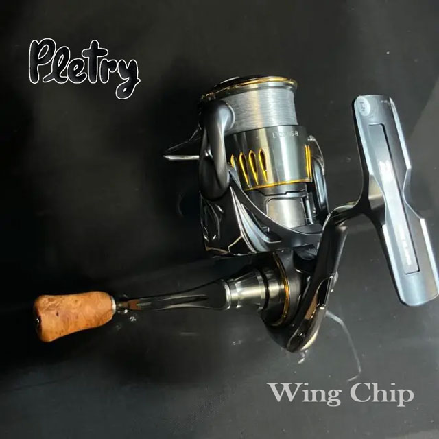 �ץ�ȥ꡼�������󥰥��åץΥ�