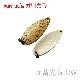 �ե��쥹�� MIU (�ߥ塼) 2.8g �ޥ˥��å������ꥫ�� / �䲰����ܥ��顼