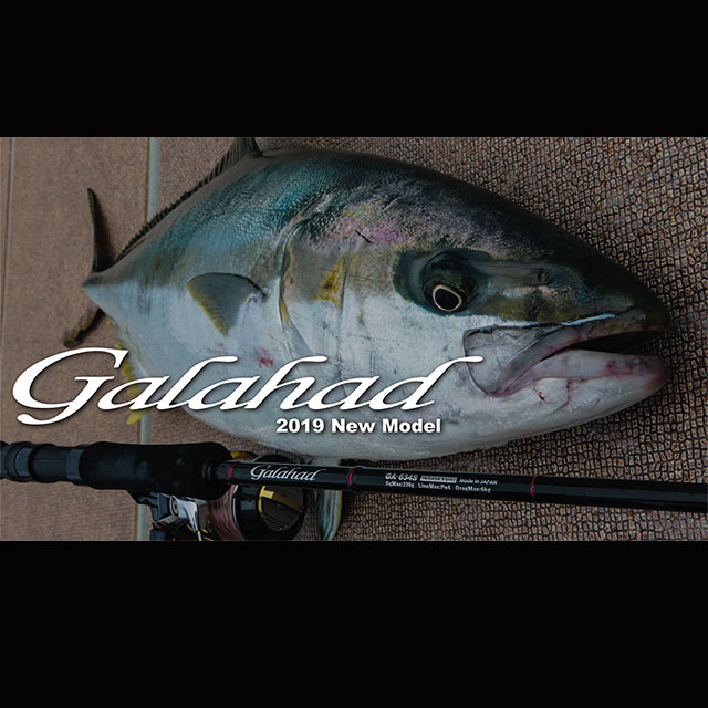 �ڤ����󤻡ۥ�ޥ��֥�󥯥��������ϥɡ�������B BAIT