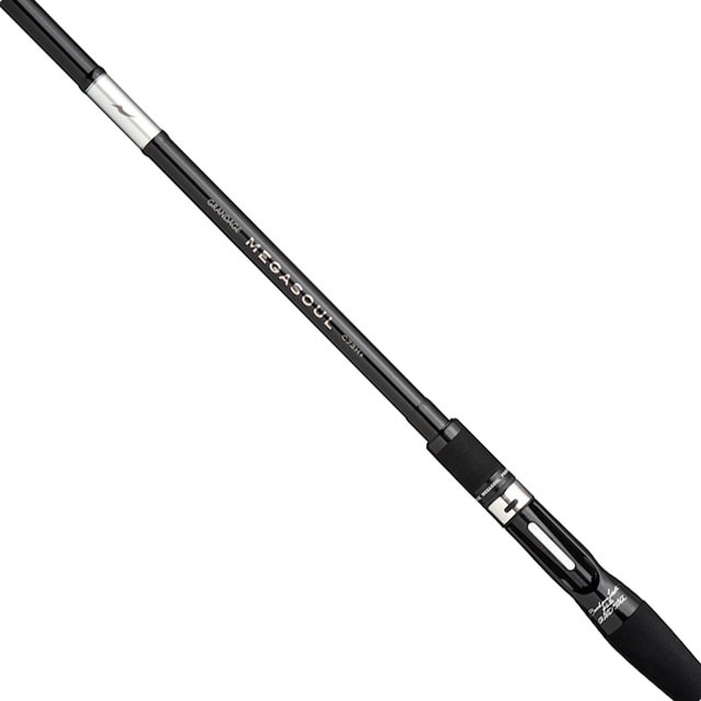 ���ԥ� �����ǡ��� �ᥬ������ C73H+