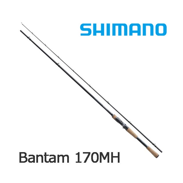 ���ޥ� 22 �Х󥿥� 170MH