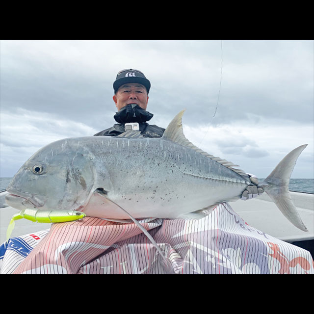 ���С����꡼�� ���饤���� OCSC-711XX ��������