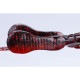 OSP��DoLive Beaver 4
