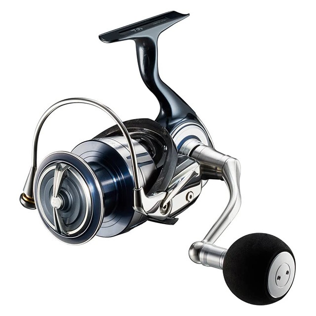 �ڤ����󤻡ۥ����� 21 ����ơ��� SW 5000-H