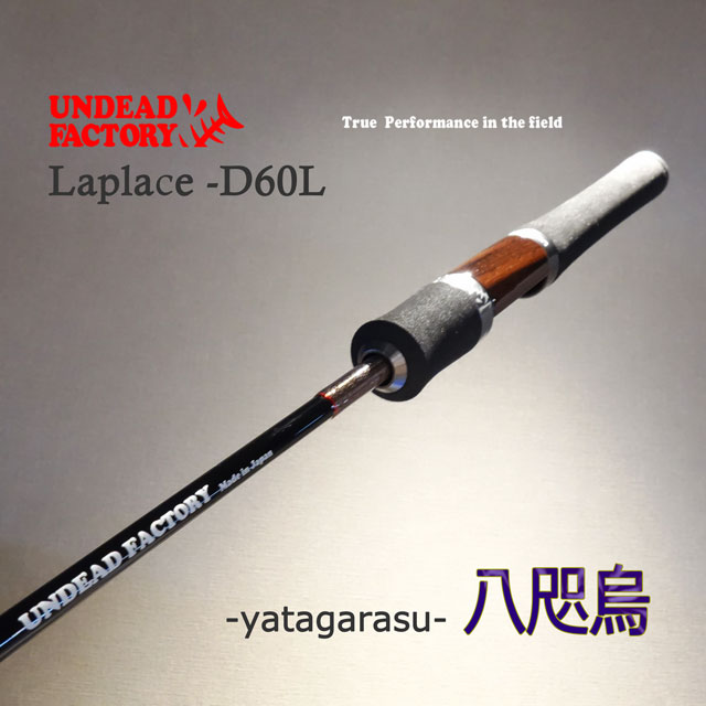 ����ǥåɥե����ȥ꡼ ��ץ饹D 60L Ȭӡ��