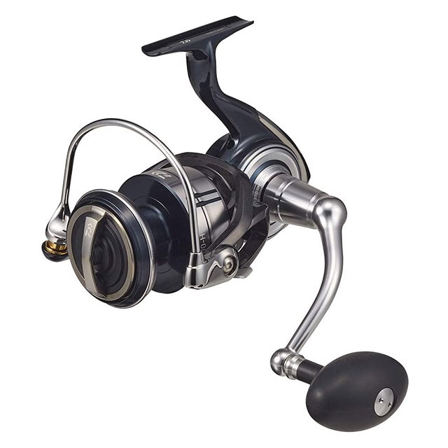 ������ 21 ����ơ��� SW 8000-H