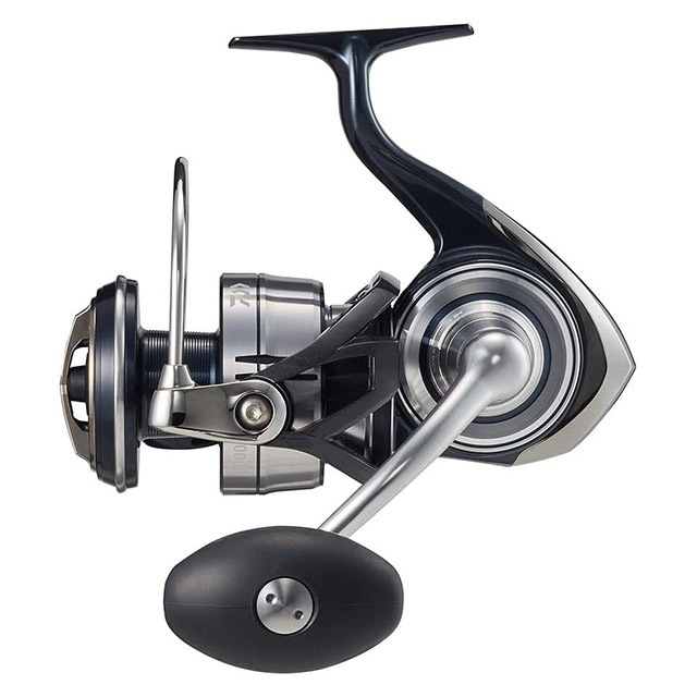 ������ 21 ����ơ��� SW 8000-H