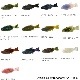 deps �֥�ե�å� 3�����