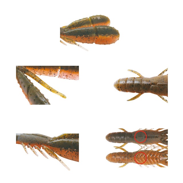 �ܥȥॢ�å� �֥륹�ۥå� ���ǥ�