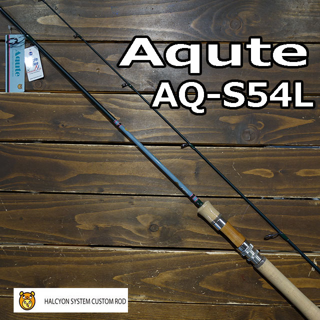 �ϥ륷���󥷥��ƥ�  �����塼��AQ-S54L