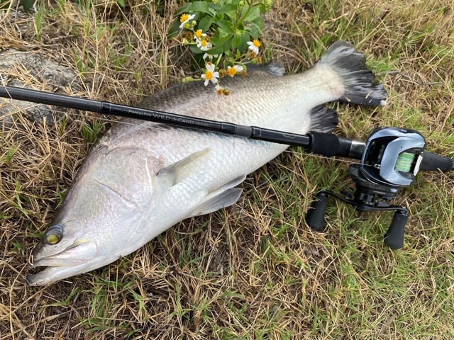 ����㡼�� Pentastick WILD JoCARD 25LB-609(MMH+)