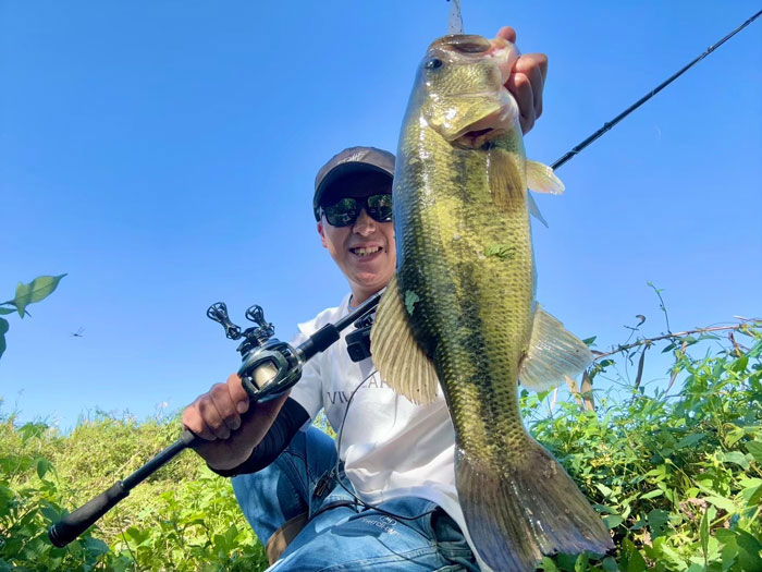 ����㡼�� Pentastick WILD JoCARD 25LB-609(MMH+)