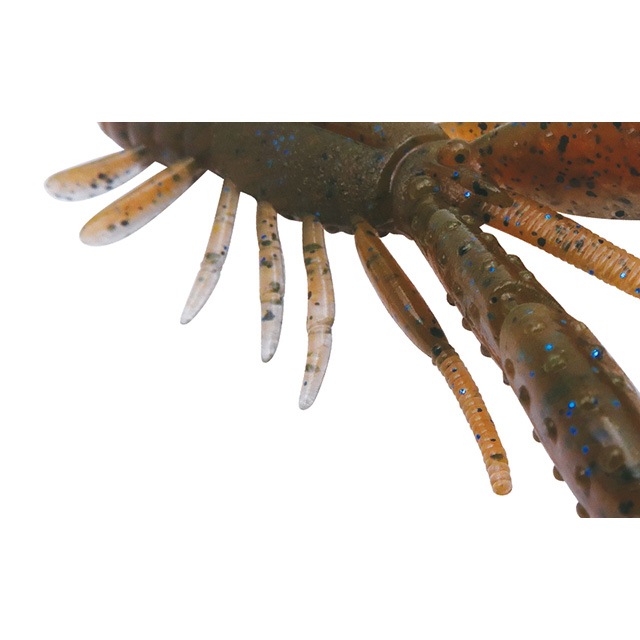 �ܥȥॢ�å� �֥륹�ۥå��٥��ӡ� 2.4�����