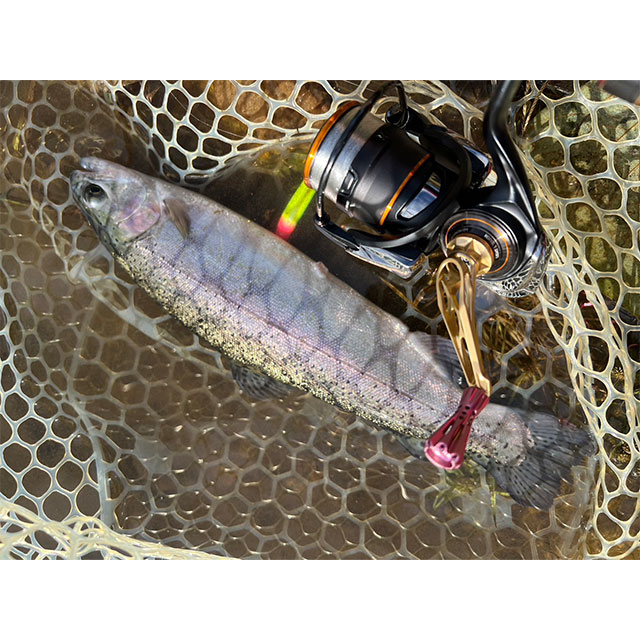 ᥿롡ڥ顼 ޥѡ39ϥɥ