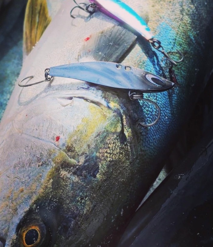 ルアー Natureboys ネイチャーボーイズ 鉄腕バイブZn 60g 鉄ジグ