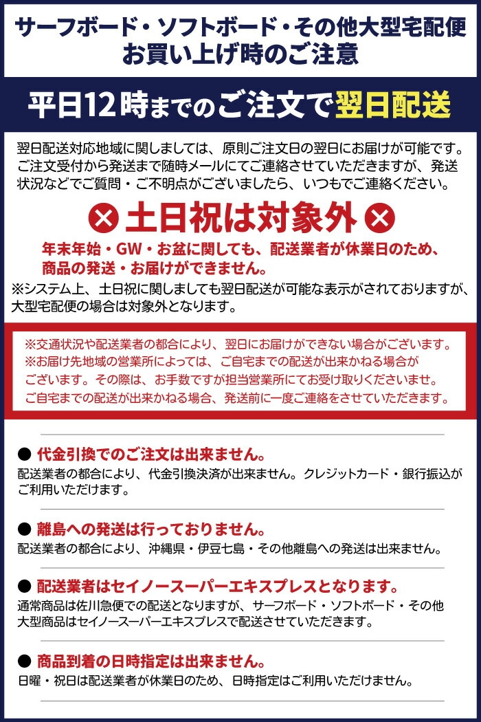 ソフトボード サーフィン ウォーターランページ WATER RAMPAGE