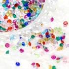 �����Х��顼��������륹�ȡ�����1�硡�쥸�󡡥ͥ��롡�κ߸˸¤��[NEW SALE����]