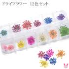 �ɥ饤�ե���12�����å�23617���κ߸˸¤��