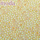 Moda�����䤫��¿���Υɥåȡ�21���������ϡ������1782-21�������������ϡ�(35)��(50cm�ʾ�10cmñ���ڤ����)���κ߸˸¤��