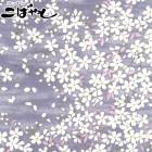 ��������ʸ�͡�D�ѡ��ץ�ϡ�10cmñ�̡��ڤ���ꡡ�����󥯥������ϡ�KTS6850�����åȥ󤳤Ф䤷��(247)��(20cm�ʾ�)