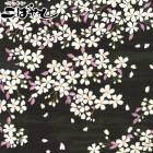 ��������ʸ�͡�E�֥�å��ϡ�10cmñ�̡��ڤ���ꡡ�����󥯥������ϡ�KTS6850�����åȥ󤳤Ф䤷��(402)��(20cm�ʾ�)