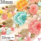 ����ɻɽ���ܥ�30mm���ѥå����꡼�դΥ��ѥ󥳡����å���ɽ���ܥ�10cmñ�̡��ڤ���ꡡ(30cm�ʾ�)���κ߸˸¤��