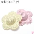 ���������������ա��ե��������ߥ˥ϥåȡ�2�ġ�[�߸˸¤�]