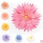 ¤�֡��ե������ե���B�����ס�ľ��12.5cm��1�ġ��κ߸˸¤��