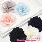 ������ա��礭���Ҥ�Ҥ�Ω�Τ��֡�1�ġ�[�߸˸¤�]