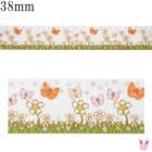 �ץ��ȥ�ܥ󡡥���դ����إ�ʤ��֤Ȥ��礦�����ܥ���38mm��2m���κ߸˸¤��