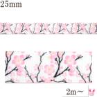 �ץ��ȥ�ܥ󡡲ֺ餯�ԥ󥯤��ߤλޥ�ܥ���25mm��1mñ�̡��ڤ���ꡡ(2m�ʾ�)����