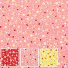 ��̤Ⱦ����ʥե롼�ġ�10cmñ�̡��ڤ���ꡡ���������ϡ�HM10553S��������(20cm�ʾ�)