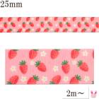 �ץ��ȥ�ܥ󡡥ߥ˥ߥˤ��֤ȥ�������ܥ���25mm��1mñ�̡��ڤ���ꡡ(3m�ʾ�)