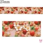 �ץ��ȥ�ܥ�3D���֤ȥ��ȥ��٥꡼��ܥ���25mm��1mñ�̡��ڤ���ꡡ(3m�ʾ�)