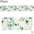 �ץ��ȥ�ܥ󡡲��䤫���Ф��դäѥ�ܥ���38mm��1mñ�̡��ڤ���ꡡ(3m�ʾ�)