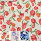 ���졼���ե�������ʡ����������ϡ�B850479-1��������(50cm�ʾ�10cmñ���ڤ����)